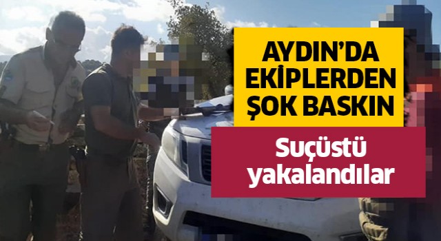 Aydın'da ekiplerden şok baskın