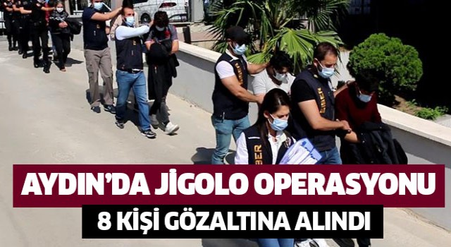 Aydın'da jigolo operasyonu