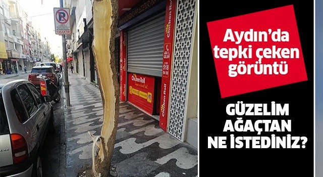 Aydın'da tepki çeken görüntü