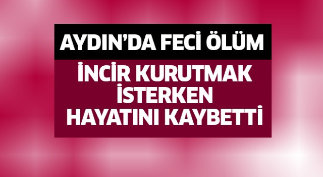 İncir kurutmak isterken öldü