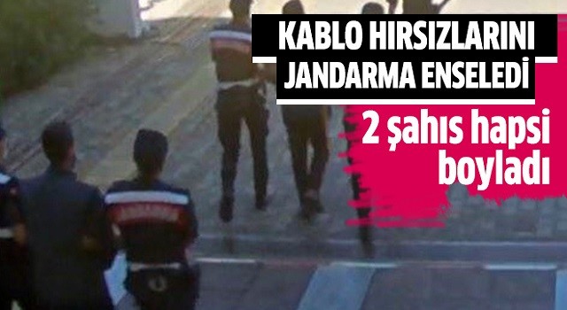 Kablo hırsızlarını jandarma enseledi