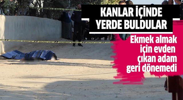 Kanlar içinde yerde buldular