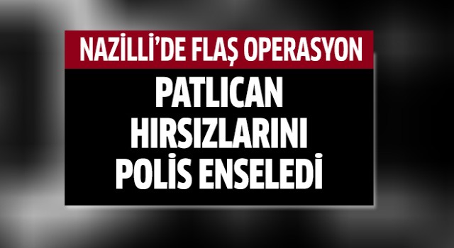 Nazilli polisinden flaş operasyon