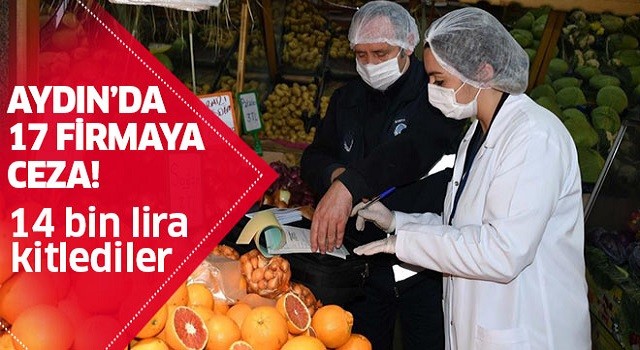 Aydın'da 17 firmaya ceza