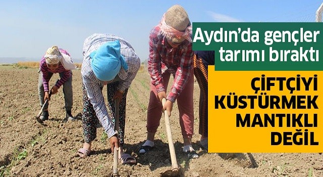 Aydınlı gençler tarımı bıraktı