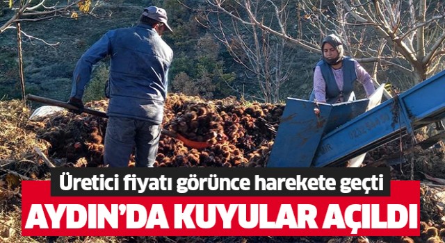 Aydın'da kuyular açıldı