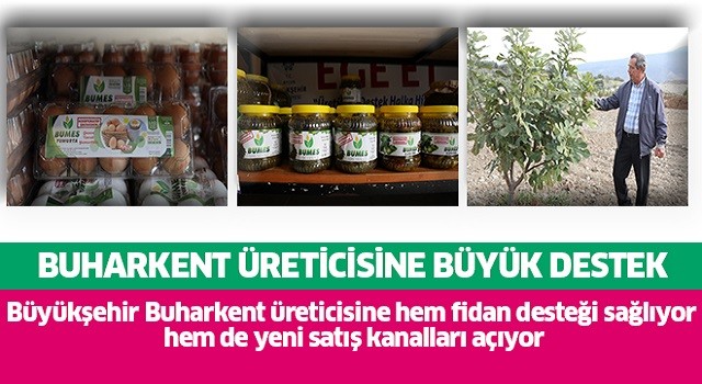 Büyükşehir'den Buharkent üreticisine büyük destek