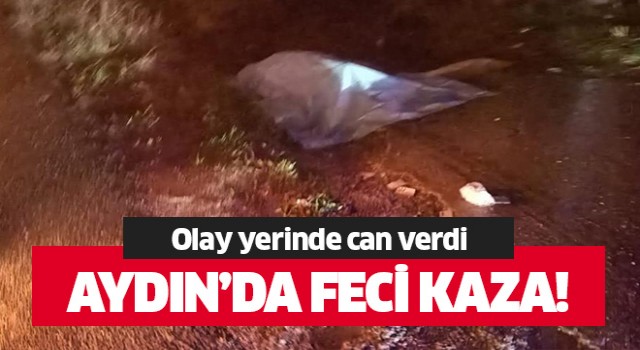 Kaza yerinde can verdi!