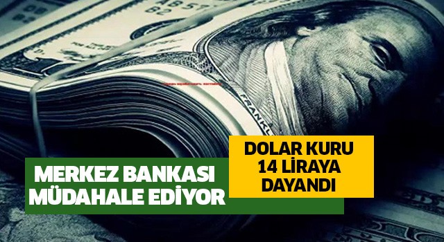 Dolar 14 liraya dayandı!