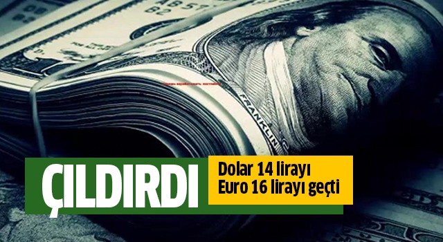 Dolar 14 lirayı geçti