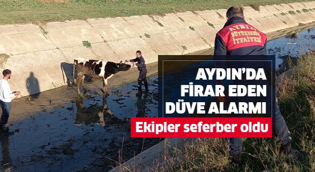 Ekipler seferber oldu