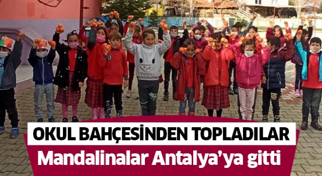 Mandalinaları, Antalya’daki yaşıtları ile paylaştılar