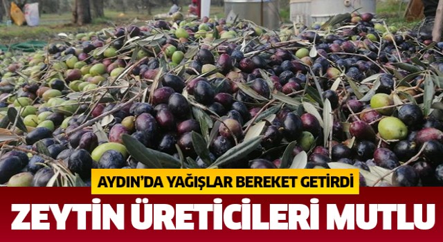 Yağışlar zeytin üreticisini sevindirdi