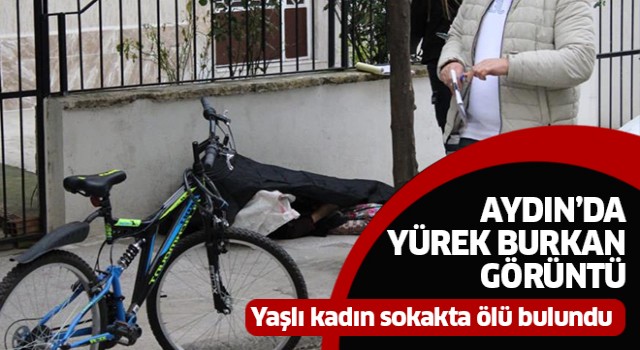 Yaşlı kadın sokakta ölü bulundu