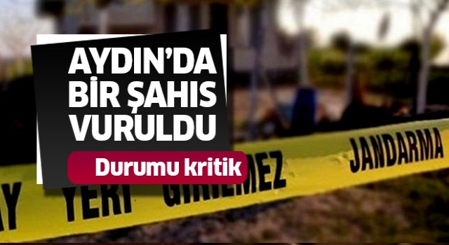 Aydın'da bir kişi  vuruldu 