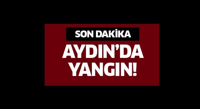 Aydın’da ev yangını