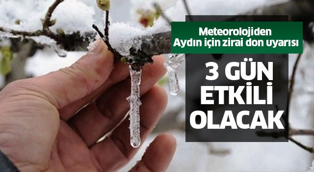 Meteorolojiden Aydın için zirai don uyarısı