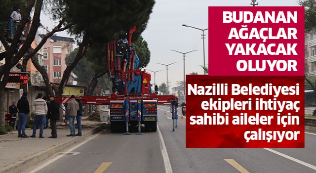 Nazilli Belediyesi ekipleri bu kez ihtiyaç sahibi aileler için çalışıyor