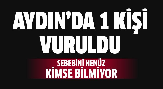 Aydın’da bir kişi vuruldu!