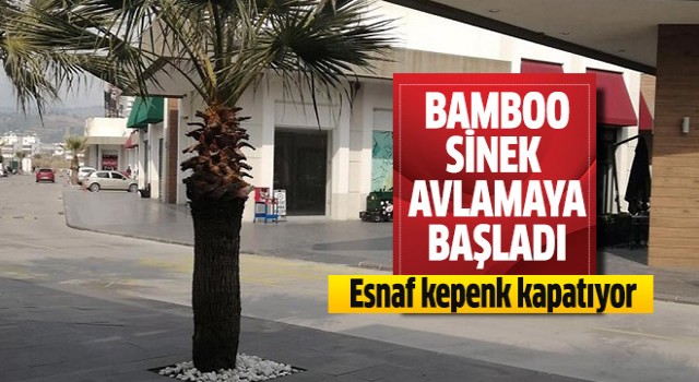 Bamboo sinek avlamaya başladı!