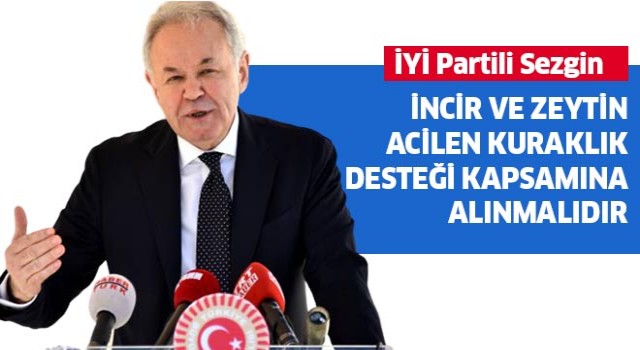 İncir ve zeytin acilen kuraklık desteği kapsamına alınmalıdır