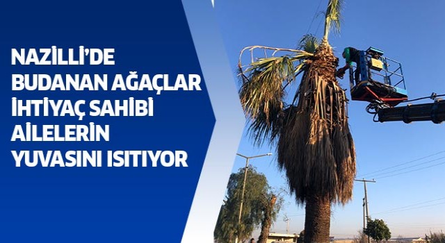 Nazilli’de budanan ağaçlar ihtiyaç sahibi ailelerin yuvasını ısıtıyor