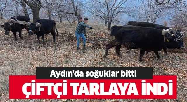 Tarım alanlarında çalışmalar başladı