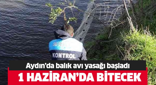 Aydın'da balık avı yasağı başladı