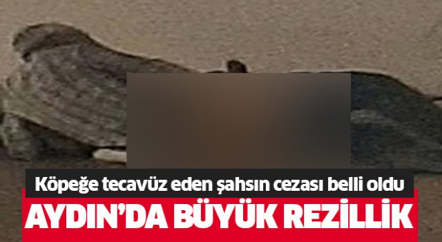 Aydın'da büyük rezillik