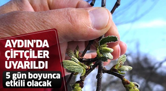 Aydın'da çiftçiler uyarıldı