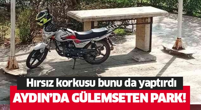 Aydın'da gülümseten park!