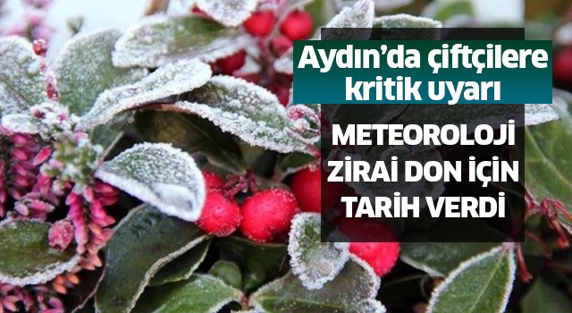 Aydın'da zirai don bekleniyor