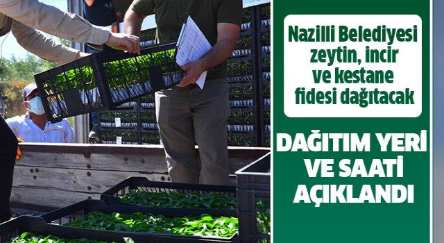 Nazilli Belediyesi yarın fide dağıtımı yapacak!