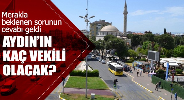 Aydın kaç milletvekili çıkaracak? Sayılar yeniden belirlendi