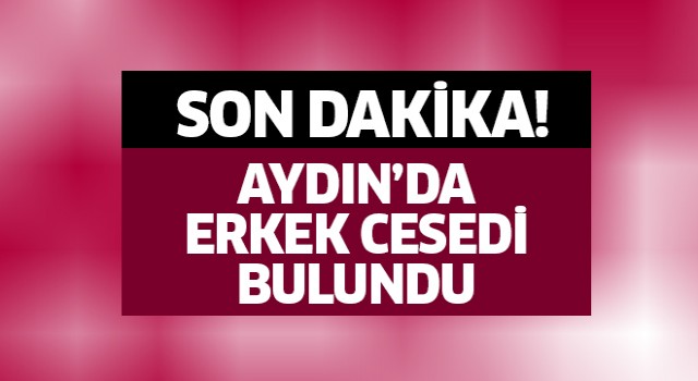 Aydın'da erkek cesedi bulundu