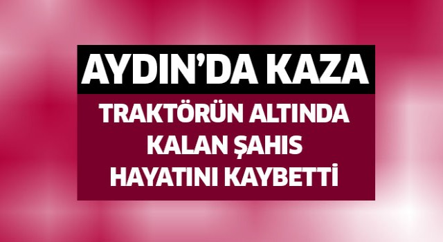 Aydın'da feci kaza: 1 ölü