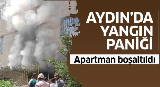 Aydın'da yangın paniği!