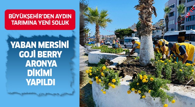 Büyükşehir'den Aydın tarımına yeni soluk