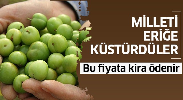 Eriğin fiyatı dudak uçuklattı