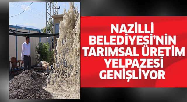 Nazilli Belediyesi’nin çalışmalarıyla tarımsal üretim yelpazesi genişliyor