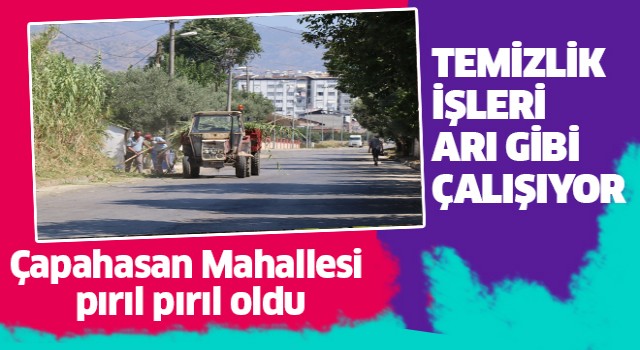 Çapahasan Mahallesi'nde sokaklar pırıl pırıl