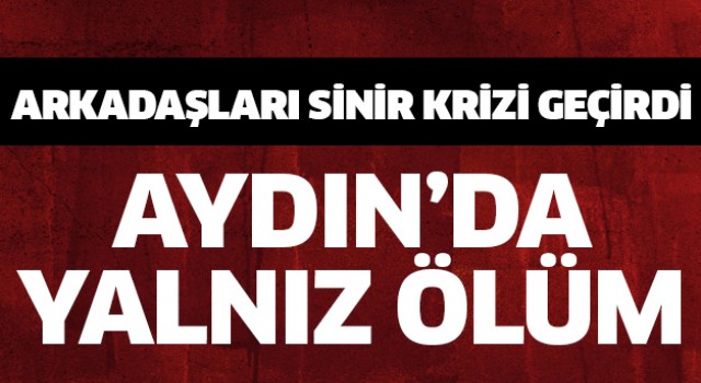 Aydın'da yalnız ölüm!