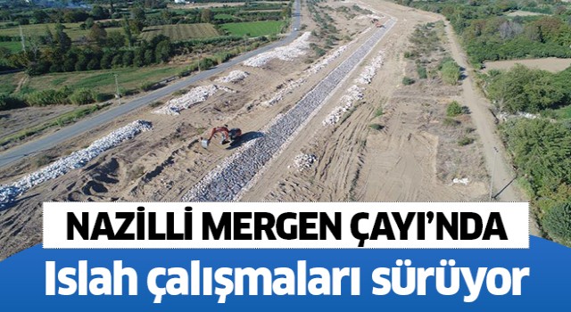 Mergen Çayı'nda ıslah çalışmaları sürüyor