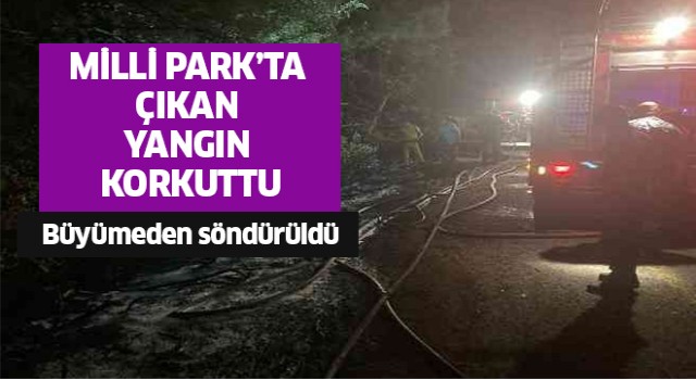 Milli Park'ta yangın çıktı