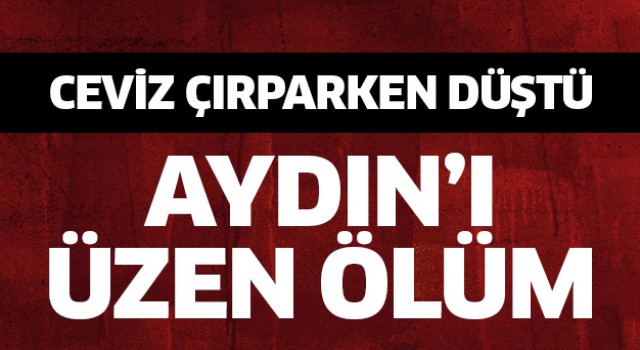 Aydın'ı üzen ölüm!