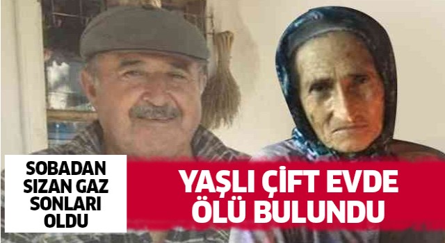 Aydın'da yaşlı çift evde ölü bulundu