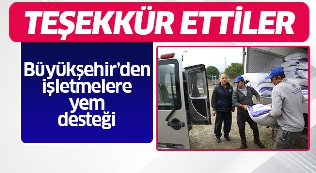 Büyükşehir'den işletmelere yem desteği