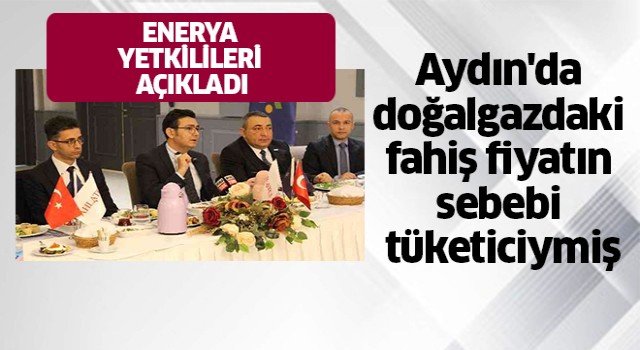 Enerya yetkilileri fahiş fiyatların sebebini açıkladı