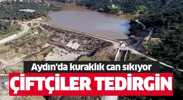 Aydın’da hava sıcaklıkları çiftçiyi tedirgin ediyor