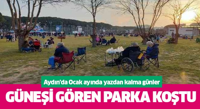 Aydın'da sıcağı gören parklara koştu